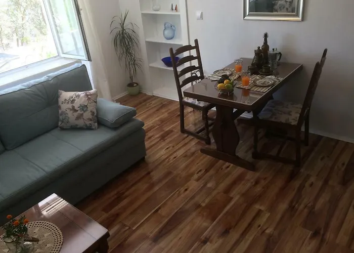 Vitis 杜布罗夫尼克