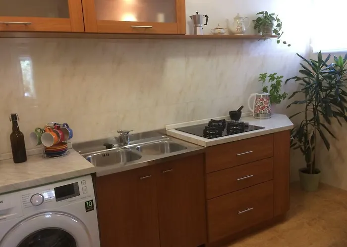 Vitis دوبروفينك